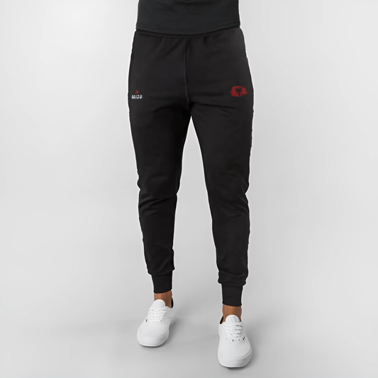 Albania Flag & Eagle Performance Jogging Pants